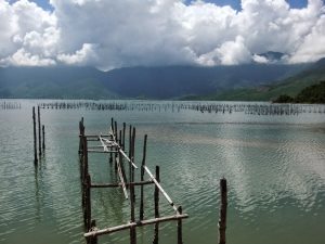 Best Places to Visit in Vietnam