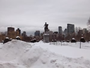 Things to Do in Boston in Winter