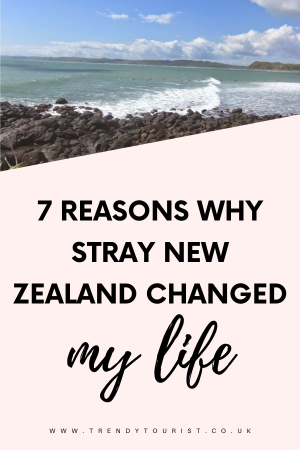 7 Reasons Why Stray New Zealand Changed My Life