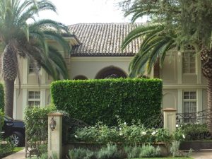 Beverly Hills Homes
