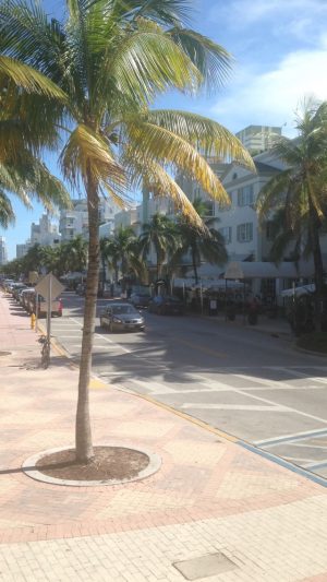 Highlights of Miami Beach