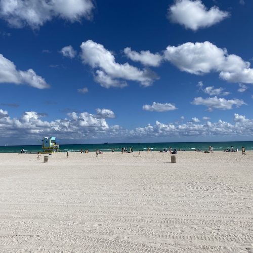 7 Highlights of Miami Beach: What to Do and See