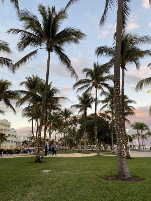 Ocean Drive