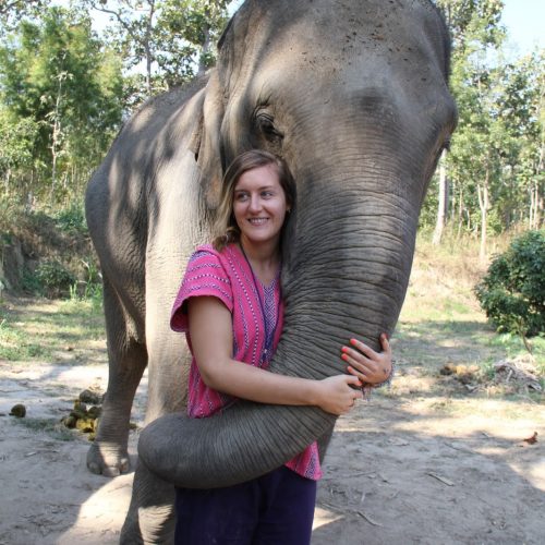Top Things to Do in Chiang Mai