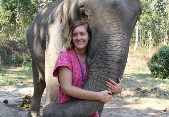 Things to Do in Chiang Mai