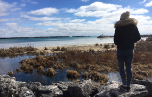 Things to Do in Door County