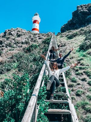 Types of Travel in New Zealand