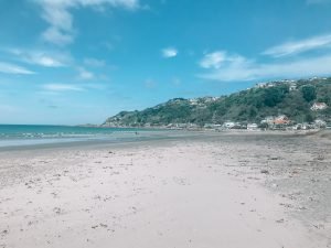 Lyall Bay