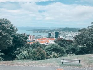 Wellington Botanic Garden