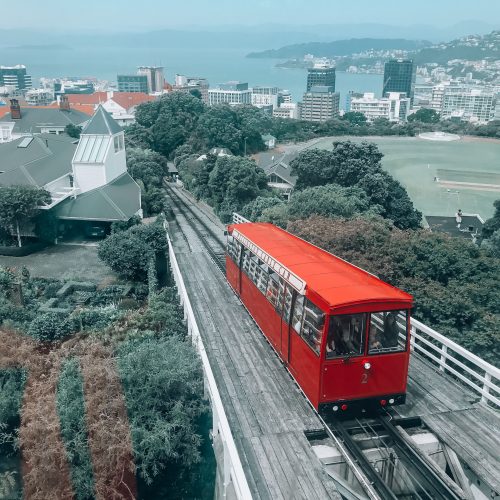 Wellington Travel Guide: What to See and Things to Do