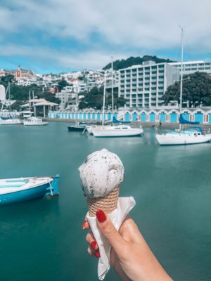 Wellington Harbour