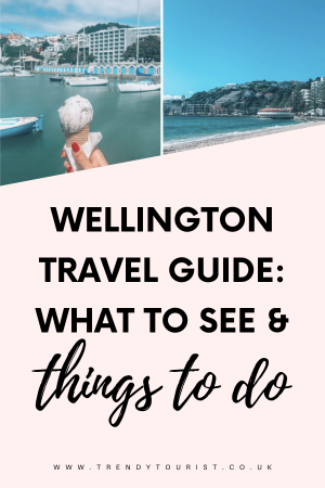 Wellington Travel Guide