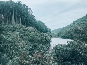 Wellington Travel Guide Zealandia