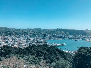 Places to Visit in North Island New Zealand 3