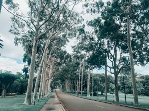 Kings Park and Botanic Gardens