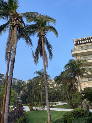 All Inclusive Cancun Resort