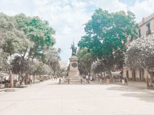 What to Do in Ibiza Town