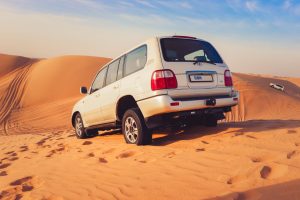 Is Dubai Worth Visiting? Desert Safaris