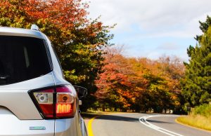Tips for Car Rental