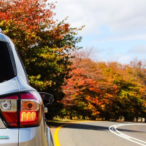 Tips for Car Rental and Booking Online for Your Next Trip
