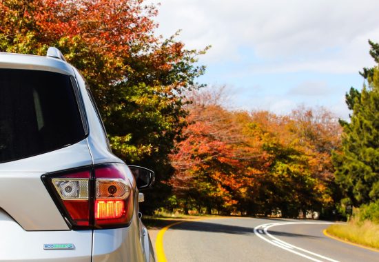 Tips for Car Rental