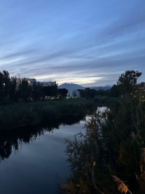 La Concha Sierra Blanca Marbella Travel Guide