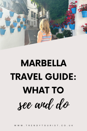 Marbella Travel Guide What to See and Do