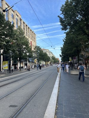 Avenue Jean Médecin Nice Travel Guide