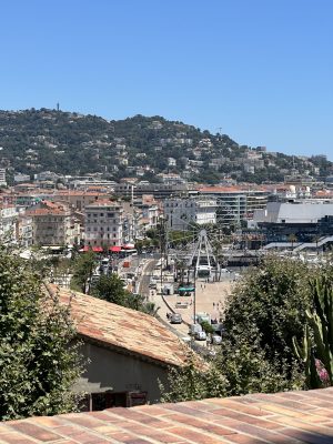 Cannes Viewpoint
