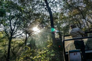 Ranthambore National Park