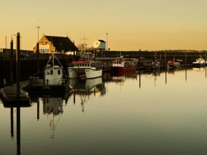 What to do in Norfolk