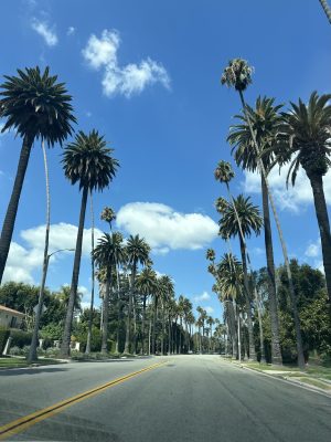 Beverly Hills Drive