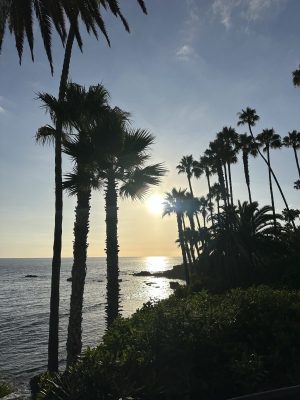 California Road Trip Laguna