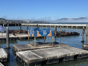 Pier 39 San Francisco