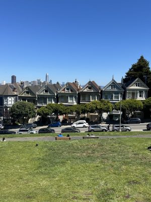 The Painted Ladies