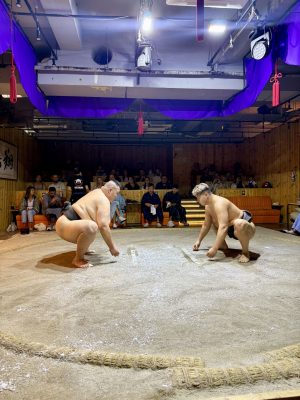Asakusa Sumo Experience