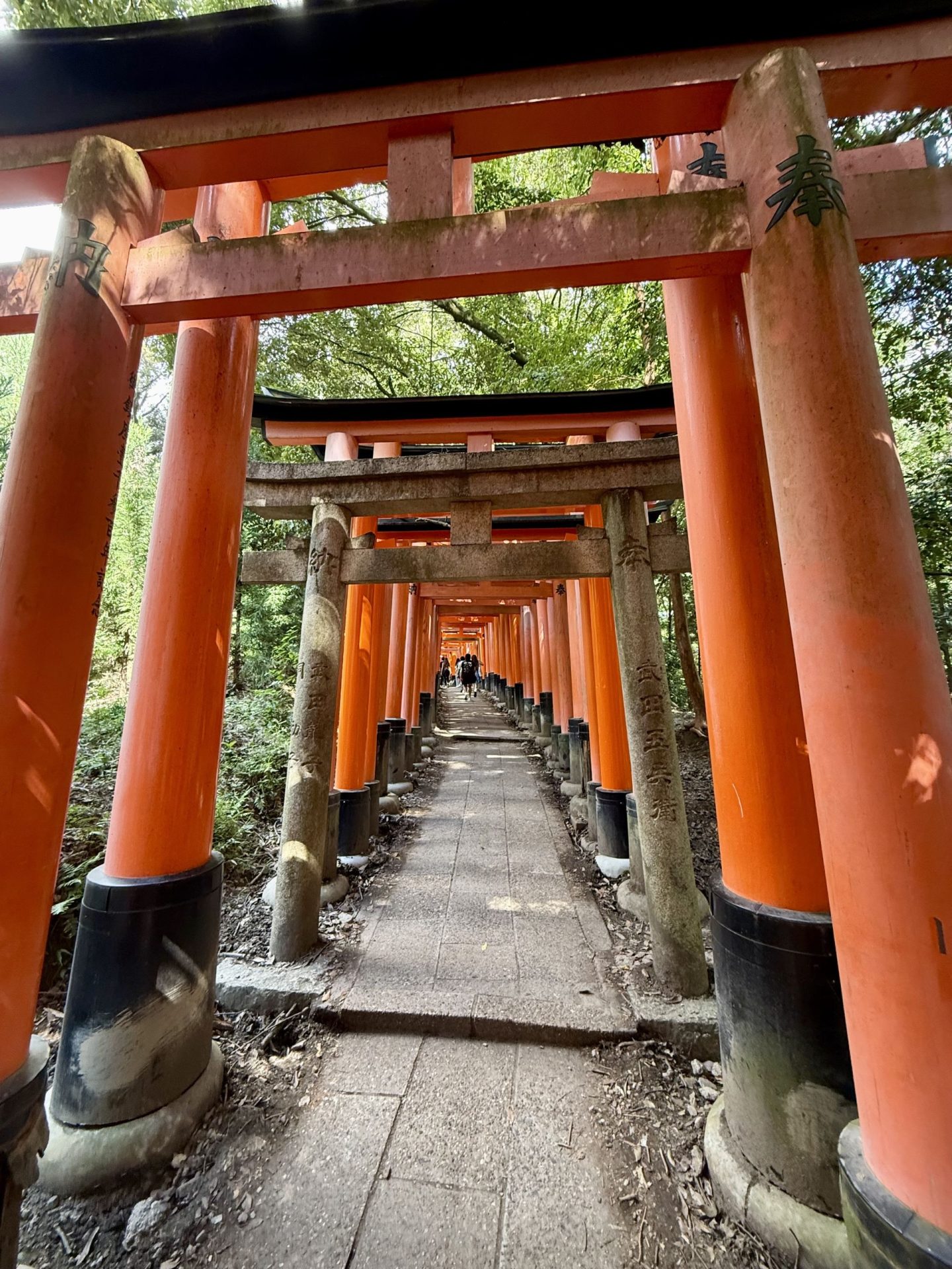 Fushimi Inari Taisha