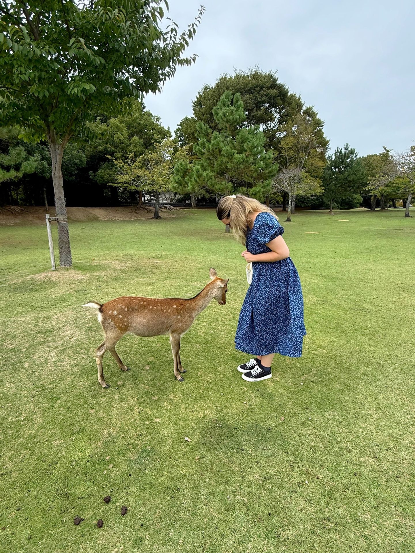 Japan Golden Route Itinerary Nara