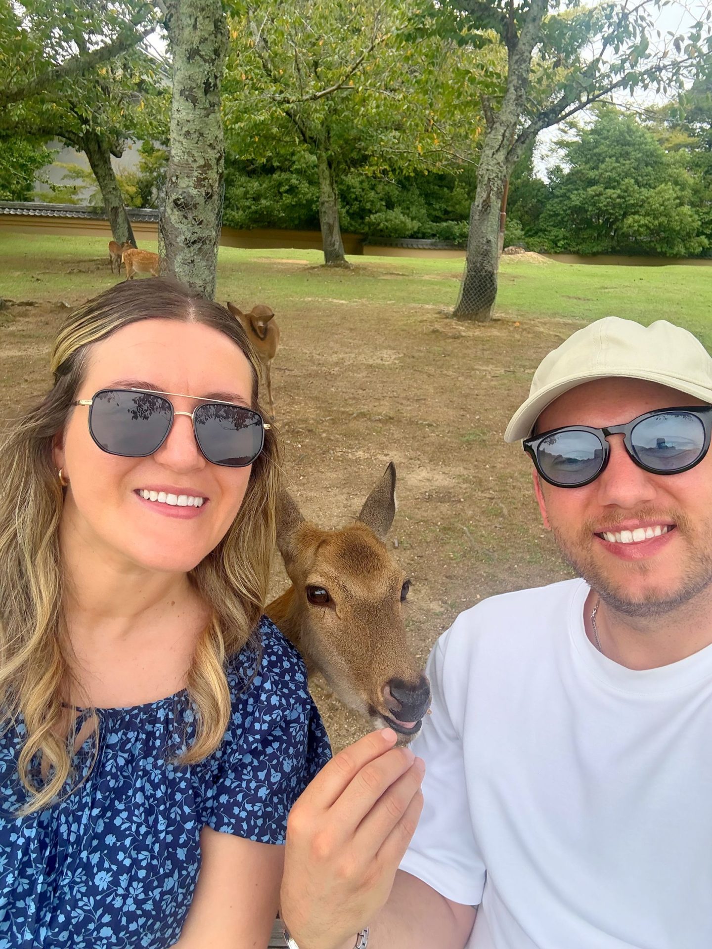 Nara Deer Park